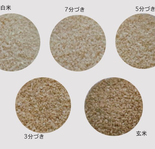 ☆令和5年産　玄米23㎏　農家の美味しいお米 ☆  （分づき精米可)食品・飲料・酒